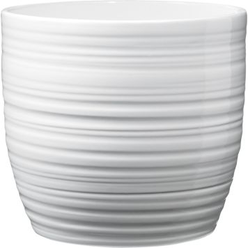 Suojaruukku Soendgen Bergamo valkoinen 24 cm