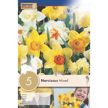 Syyskukkasipuli Narsissi Mix 5 kpl