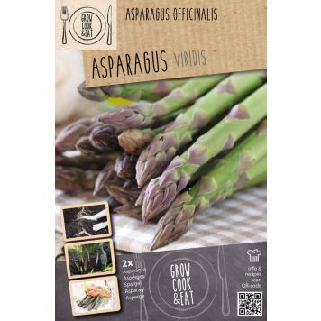 Parsa Kapiteyn Asparagus Viridis 2 kpl