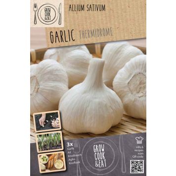 Valkosipuli Kapiteyn Thermidrome White 3 kpl