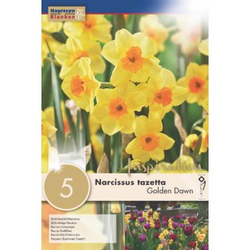 Syyskukkasipuli Narsissi Golden Dawn 5 kpl