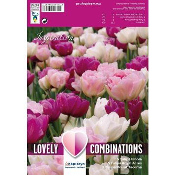Kevätkukkasipuli Tulppaani Double Pink Purple White 15 kpl