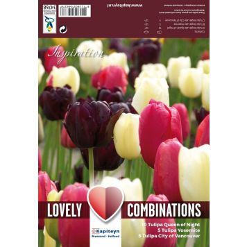 Kevätkukkasipuli Tulppaani Late Black Pink White 20 kpl