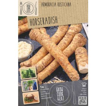 Piparjuuri Kapiteyn Armoracia Rusticana 1 kpl