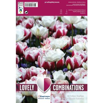 Kevätkukkasipuli Tulppaani Double Red White 15 kpl