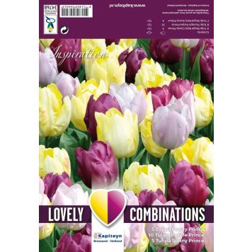 Kevätkukkasipuli Tulppaani Yellow Purple Lila 20 kpl