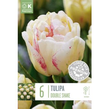 Syyskukkasipuli Tulppaani Premium Double Shaker 6 kpl