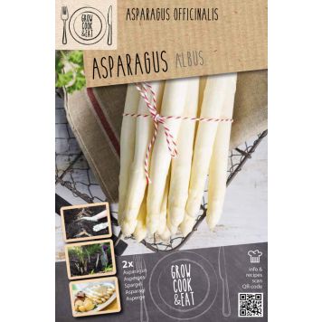 Parsa Kapiteyn Asparagus Albus 2 kpl