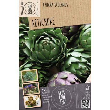 Latva-artisokka Kapiteyn Cynara Scolymu 2 kpl