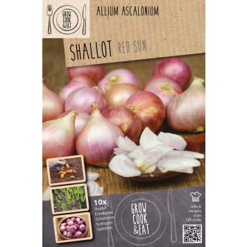 Salottisipuli Kapiteyn Red Sun 10 kpl