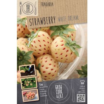 Mansikka Kapiteyn Anannasia White 1 kpl