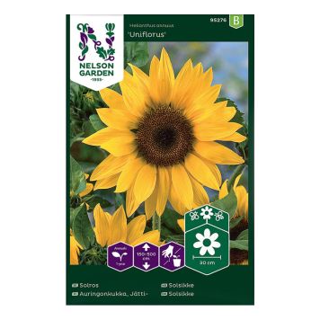 Jättiauringonkukka Nelson Garden Uniflorus