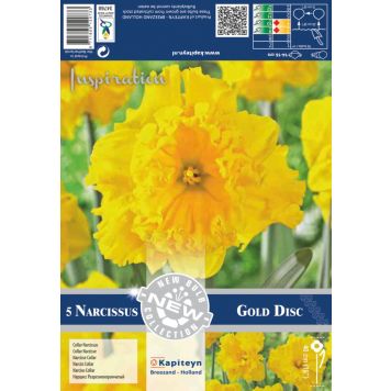 Kevätkukkasipuli Narsissi Collar Gold Disc 5 kpl