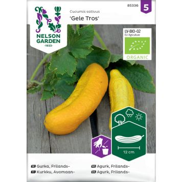 Avomaankurkku Nelson Garden Gele Tros