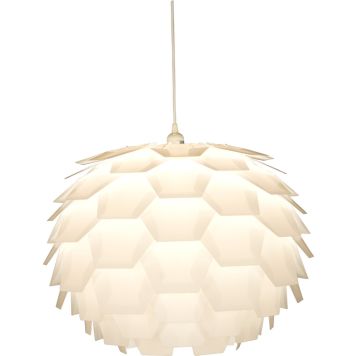 Riippuvalaisin Aneta Carpatica