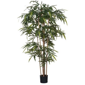 Silkkikasvi bambu muoviruukussa 180 cm