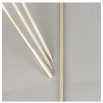 Kukkakeppi koivu 50 cm 10 kpl