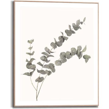 Sisustustaulu Reinders Eucalyptus 40 x 50 cm