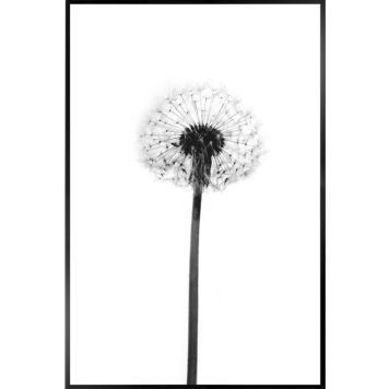 Sisustustaulu Reinders Dandelion Grey 20 x 30 cm