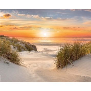 Sisustustaulu Reinders Beautiful Dunes 40 x 50 cm