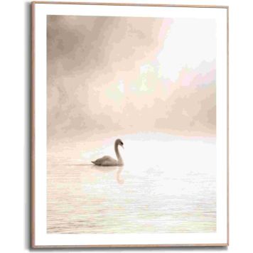 Sisustustaulu Reinders Misty Lake Swan 40 x 50 cm