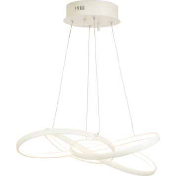 Riippuvalaisin Aneta Nebulosa