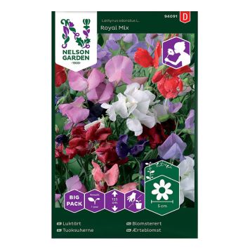 Tuoksuherne Nelson Garden Royal mix