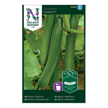 Kasvihuonekurkku Nelson Garden Louisa