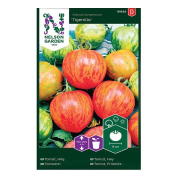 Tomaatti Nelson Garden Tigerella