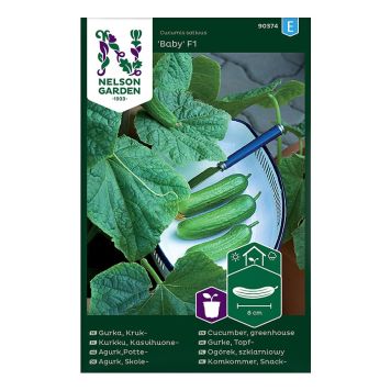Kasvihuonekurkku Nelson Garden Baby