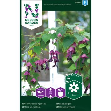 Keijunmekko Nelson Garden