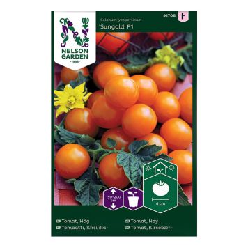 Kirsikkatomaatti Nelson Garden Sungold