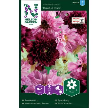 Punakosmoskukka Nelson Garden Double Click