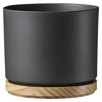 Suojaruukku Oslo antrasiitti 19 cm