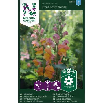 Leijonankita Nelson Garden Opus Early Bronze