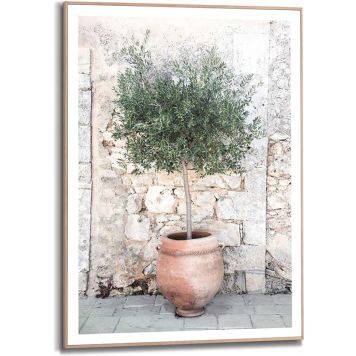 Sisustustaulu Reinders Olive Tree 50 x 70 cm