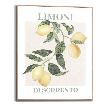 Sisustustaulu Reinders Limoni 40 x 50 cm