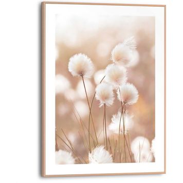 Sisustustaulu Reinders Cotton Pops 30 x 40 cm