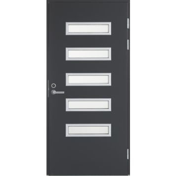 Ulko-ovi Swedoor Function F2090 W51 Tummanharmaa