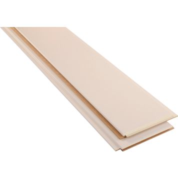 Kattopaneeli Maler MDF Valkoinen STP 10 x 160 x 2070 mm