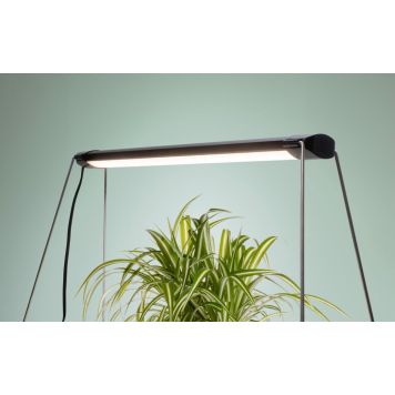 Kasvivalaisin Airam Verso