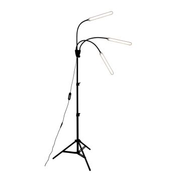 Kasvivalaisin Airam Palm