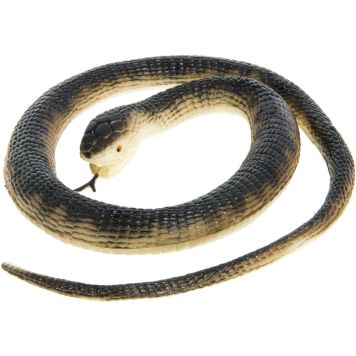 Linnunpelätinkäärme 105 cm