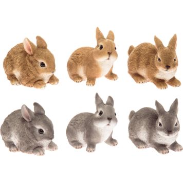 Puutarhakoriste pikkujänis 12 cm lajitelma