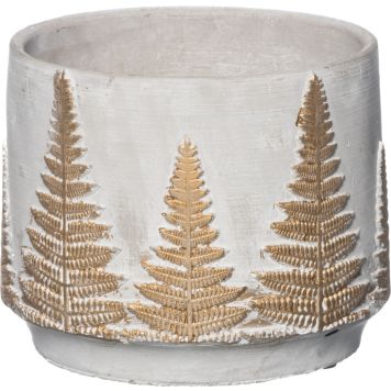 Suojaruukku Saniainen 15 cm