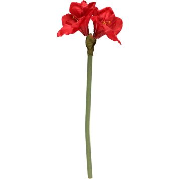 Koristeoksa amaryllis 66 cm punainen