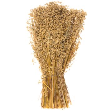 Kauralyhde Kotimainen