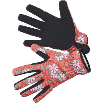 Puutarhakäsine Anemone