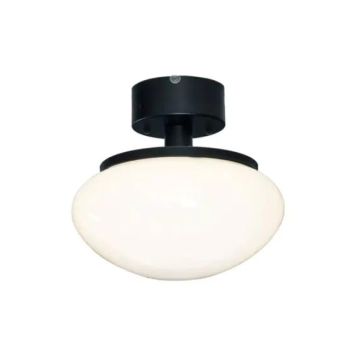 Kattovalaisin Aneta New August musta