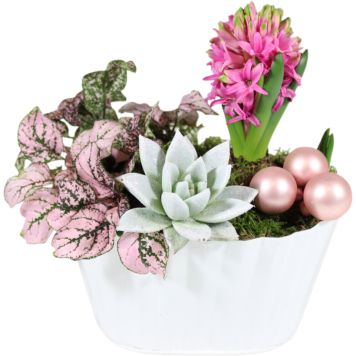 Jouluistutus Joulun Ilo